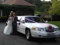 My Party Limo 1066962 Image 6